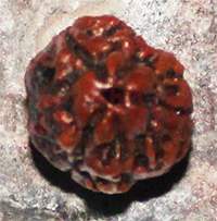3M Nepal Bead 1- 21mm